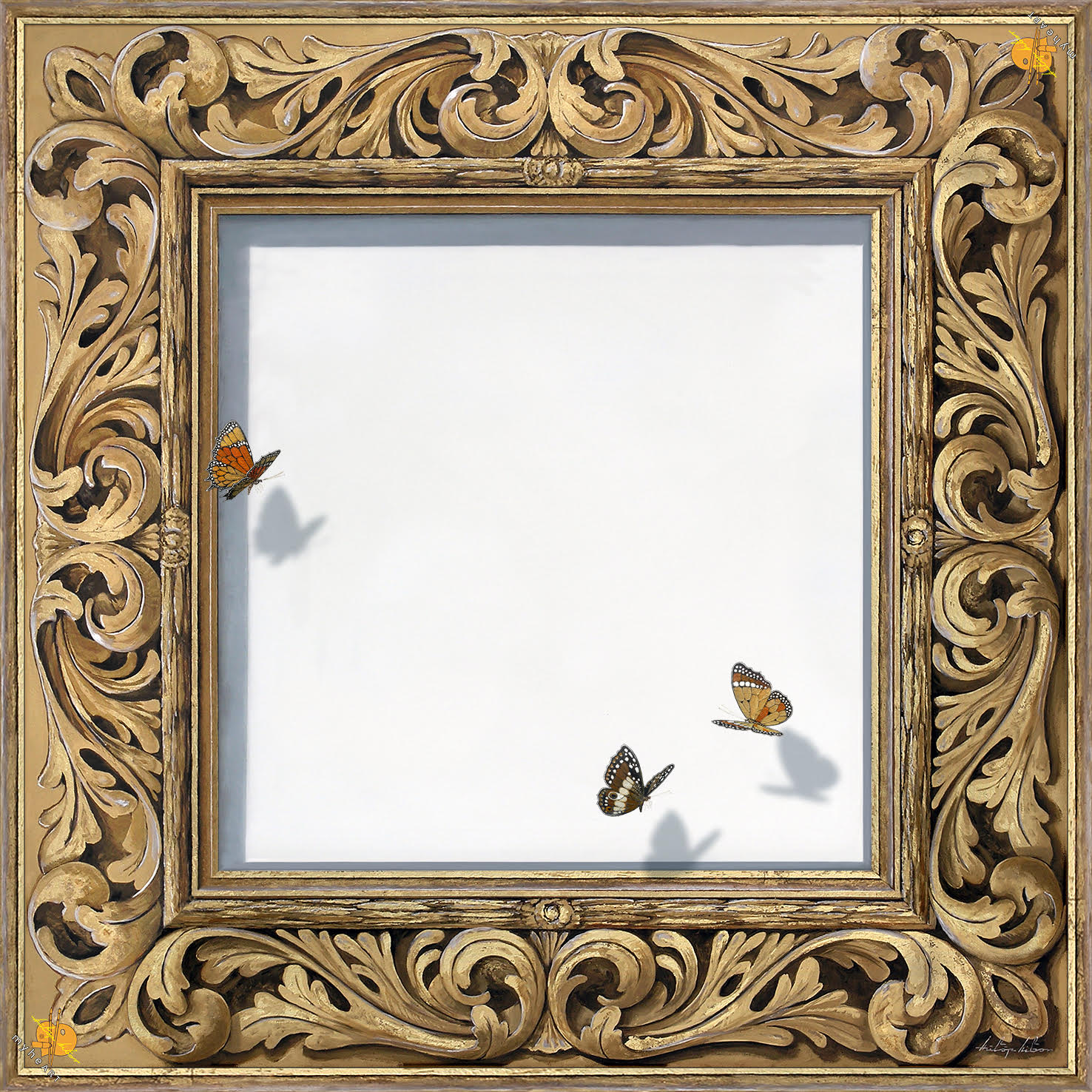 Frame - Silk Scarf